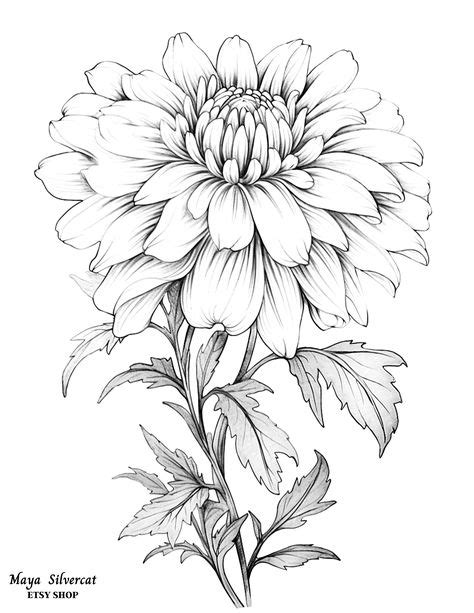 Flower Drawing Tutorials, Flower Art Drawing, Flower Sketches, Floral ...