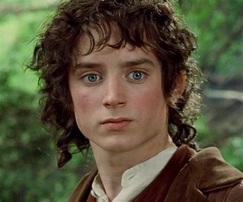 Frodo Baggins | The One Wiki to Rule Them All | Fandom