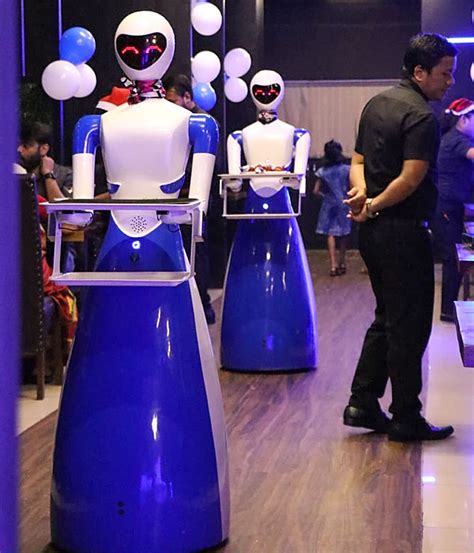 Dine-In Restaurants In Chennai / WATCH: Inside Chennai's Robot themed ...