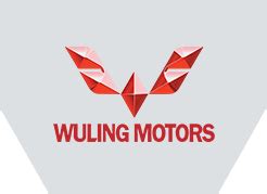 Wuling Logo - LogoDix