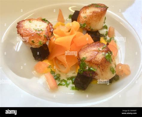 Scallops and black pudding Stock Photo - Alamy