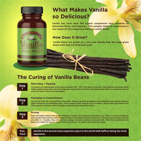 Gourmet Vanilla Bean Paste for Baking - With Real Vanilla Seeds ...