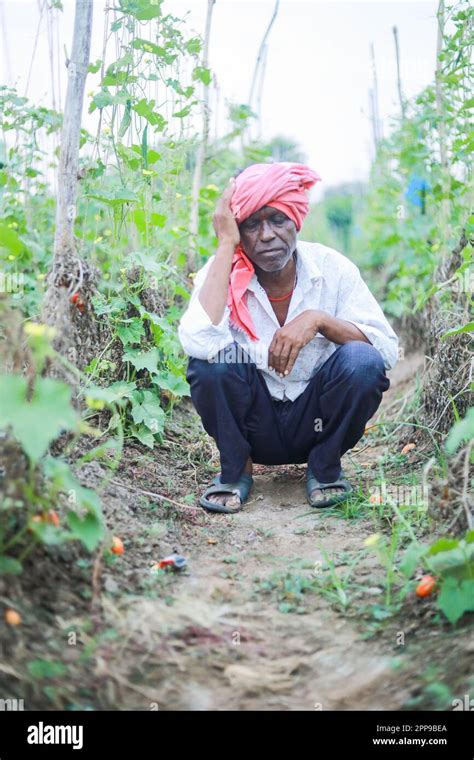 Indian poor farmer in farm, sad farmer, loss of farmer Stock Photo - Alamy