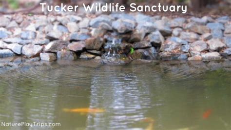 Tucker Wildlife Sanctuary: Explore the Natural Science Center and Go ...