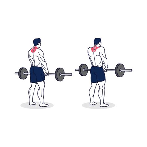 The Top 9 Barbell Shrugs Benefits That You Are Ignoring | October 2023