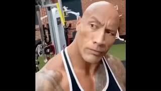 the rock meme eyebrow