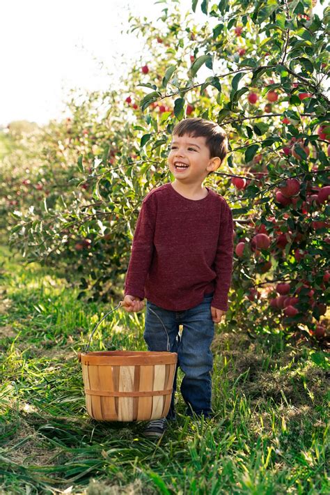 Apple Orchard Photoshoot - Victoria Christine Photography