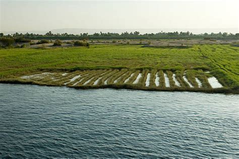 Nile River Agriculture Stock Photos, Pictures & Royalty-Free Images ...