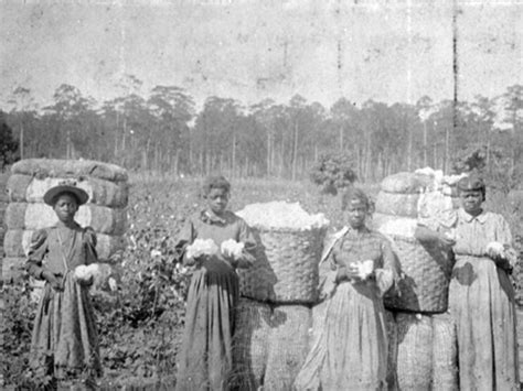 This is a Cotton Picking Story . . . | HubPages