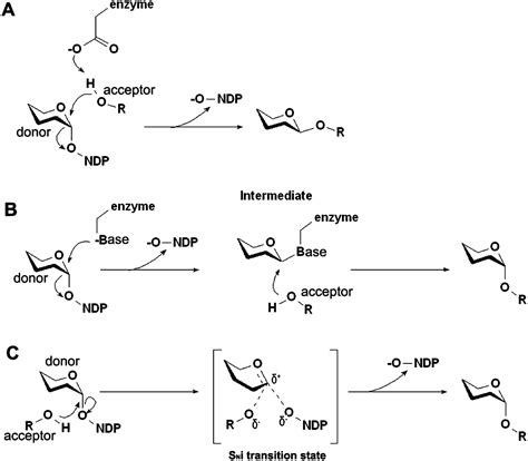 Structure and Function of a Chlorella Virus-Encoded Glycosyltransferase ...