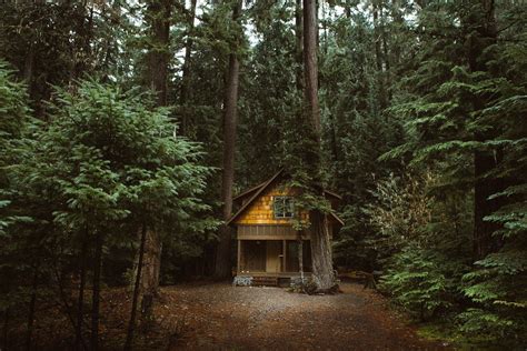 Forest Cabin Desktop Backgrounds | Images and Photos finder