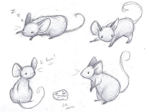 Mice Sketches by sleighbelles on DeviantArt | Cartoon drawings, Mouse ...