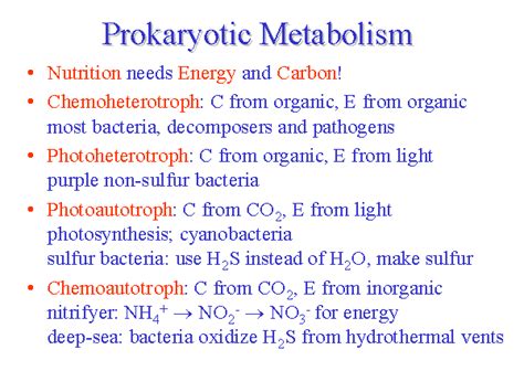 Prokaryotic Metabolism