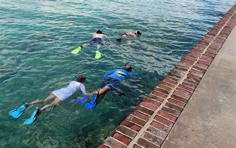 Finding the best tropical snorkeling adventure in Dry Tortugas - Quirky ...