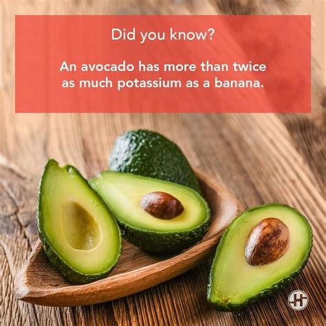 A single avocado has 975 milligrams of potassium while a banana well ...