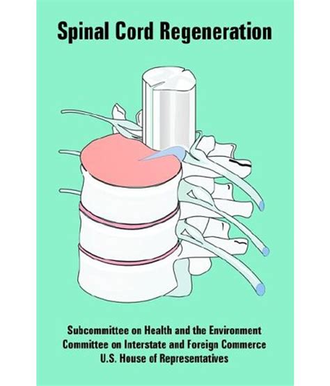 Spinal Cord Regeneration: Buy Spinal Cord Regeneration Online at Low ...