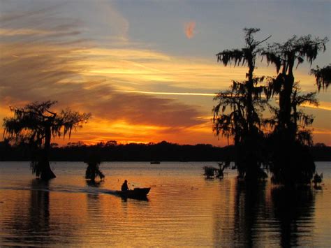 Louisiana sunset on the Bayou | Louisiana bayou, Louisiana swamp, Sunset