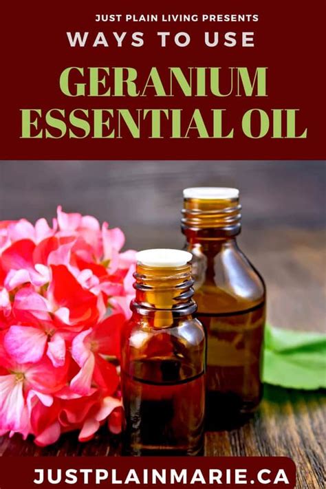 How to Use Geranium Essential Oil | Just Plain Cooking | Geranium ...