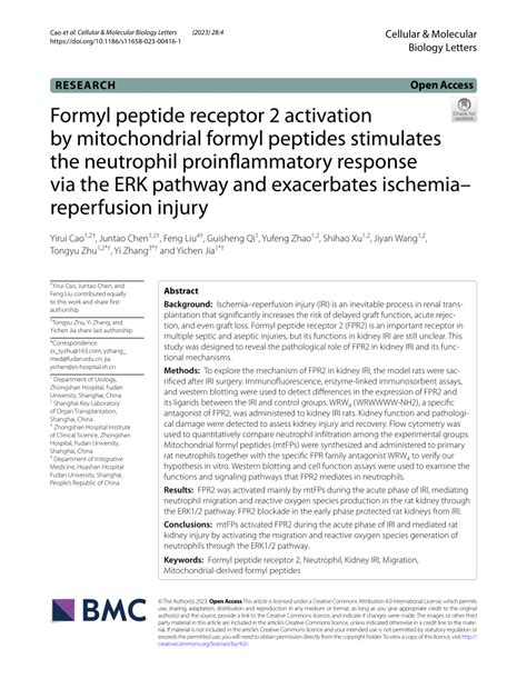 (PDF) Formyl peptide receptor 2 activation by mitochondrial formyl ...