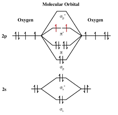 How To Draw Molecular Orbital Diagram In Chemdraw – Warehouse of Ideas