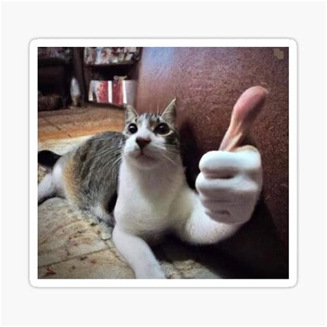 "Funny cat meme human hand thumbs up" Sticker for Sale by nickcosky ...