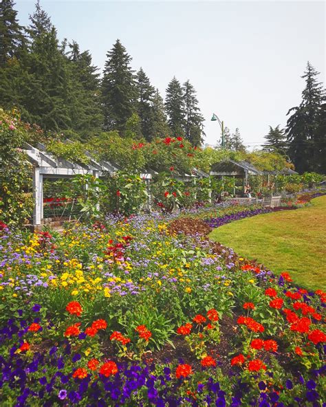 Rose Garden in Stanley Park, Vancouver, BC, Canada