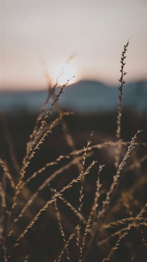 Pin on Landschaft. Fotografie