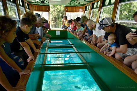 Silver Springs' Glass Bottom Boats – Florida's Oldest Tourist ...