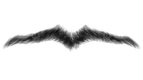 Realistic Manly Mustache, Mustache, Realistic, Face Hair PNG ...