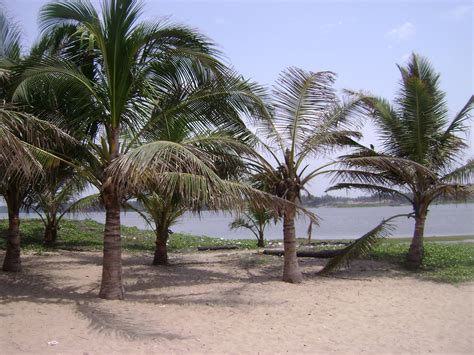 My thoughts: Cuddalore Silver Beach