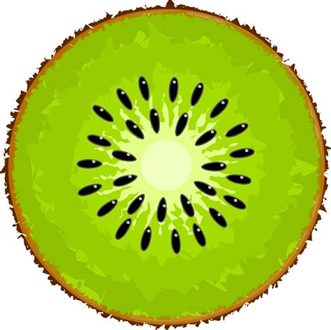 Kiwi clipart 20 free Cliparts | Download images on Clipground 2024