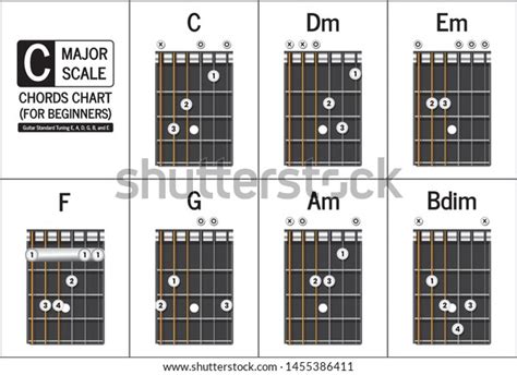 Guitar Chord Key C Major Note Stock Vector (Royalty Free) 1455386411 ...