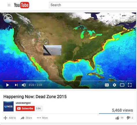 Video: The Dead Zone | Climate Signals