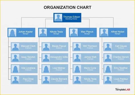 Org Chart Template Word – Atlanticcityaquarium.com