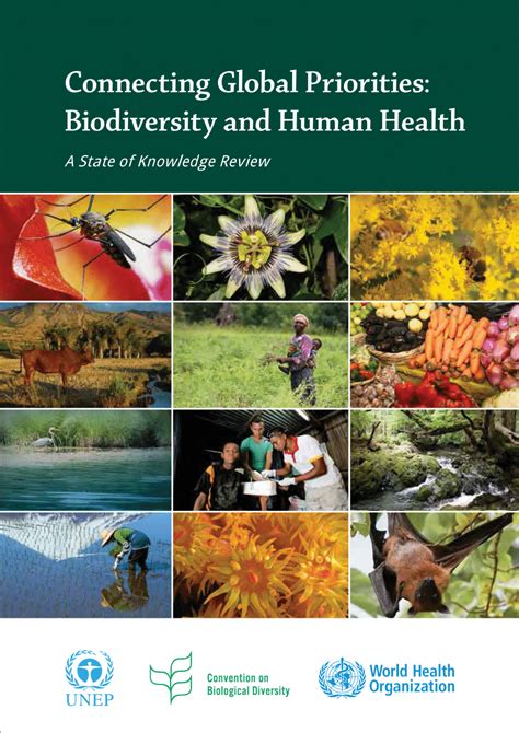 (PDF) Connecting Global Priorities: Biodiversity and Human Health, a ...