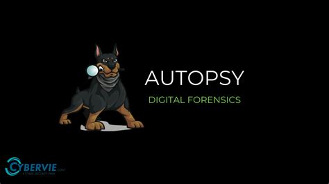 Introduction To Autopsy | An Open-Source Digital Forensics Tool - CYBERVIE