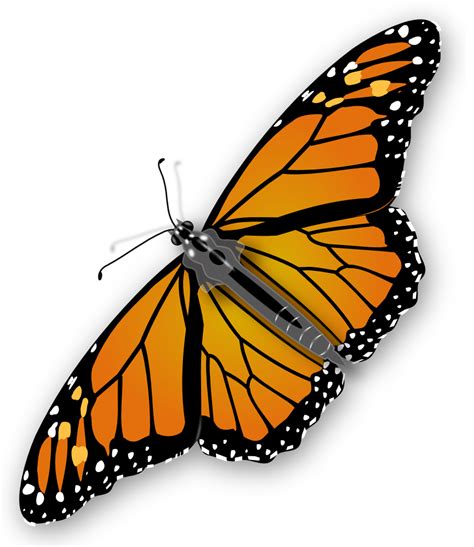 Monarch Butterfly Clip Art - Cliparts.co