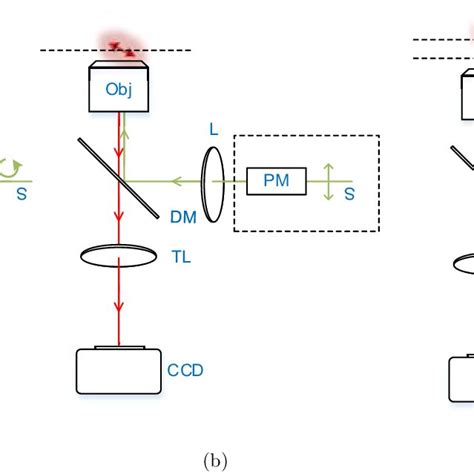 (PDF) Super-resolution fluorescence polarization microscopy