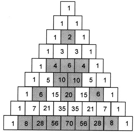 The Mathematical Tourist: Pascal's Patterns