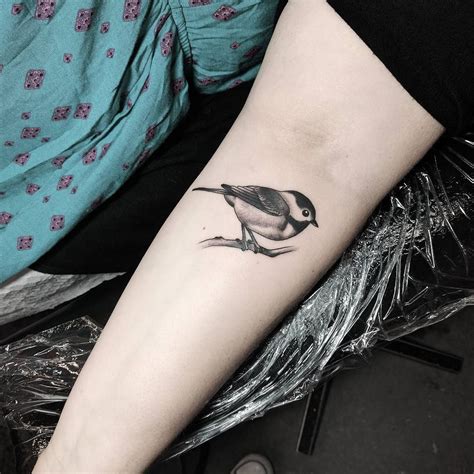 Chickadee by Kate DeCosmo at Euphoria Tattoos in Tallahassee ...