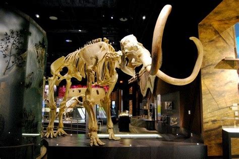 Nevada State Museum - Best Attractions in Las Vegas