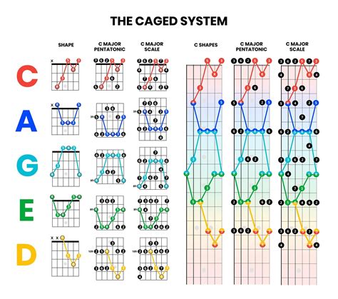 Mastering Triad Shapes on Guitar: Applying CAGED System | CAGED for ...