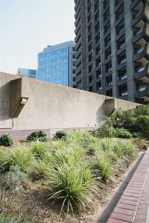 Exploring the Barbican Conservatory - April Everyday