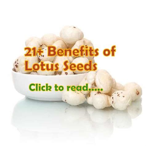 21+ Lotus Seed Benefits - Phool Makhana, or Fox Nuts - lifeinvedas