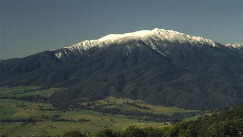 Bonzle: Mount Bogong