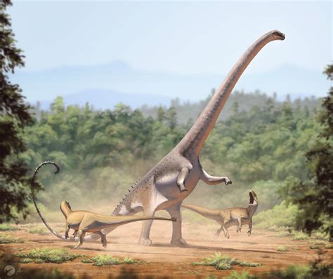 Barosaurus vs. Allosaurus pair. Art by Fred Wierum. : r/Paleontology