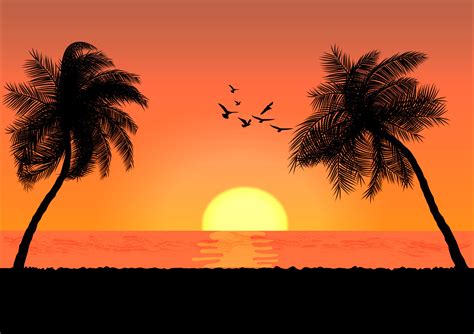 landscape view drawing palm with sunset or sunrise background vector ...