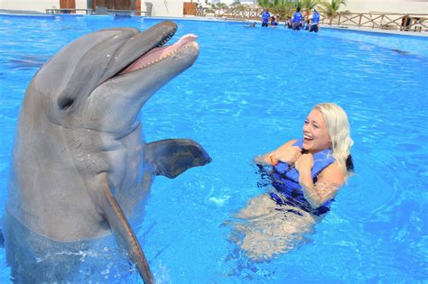 Dolphin Intelligence: How Smart Are Dolphins? | Vallarta Adventures