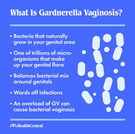 Gardnerella Vaginalis: Signs, Symptoms and Treatment (2022)