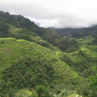 Banaue Rice Terraces, UNESCO World Heritage Site | Download Scientific ...